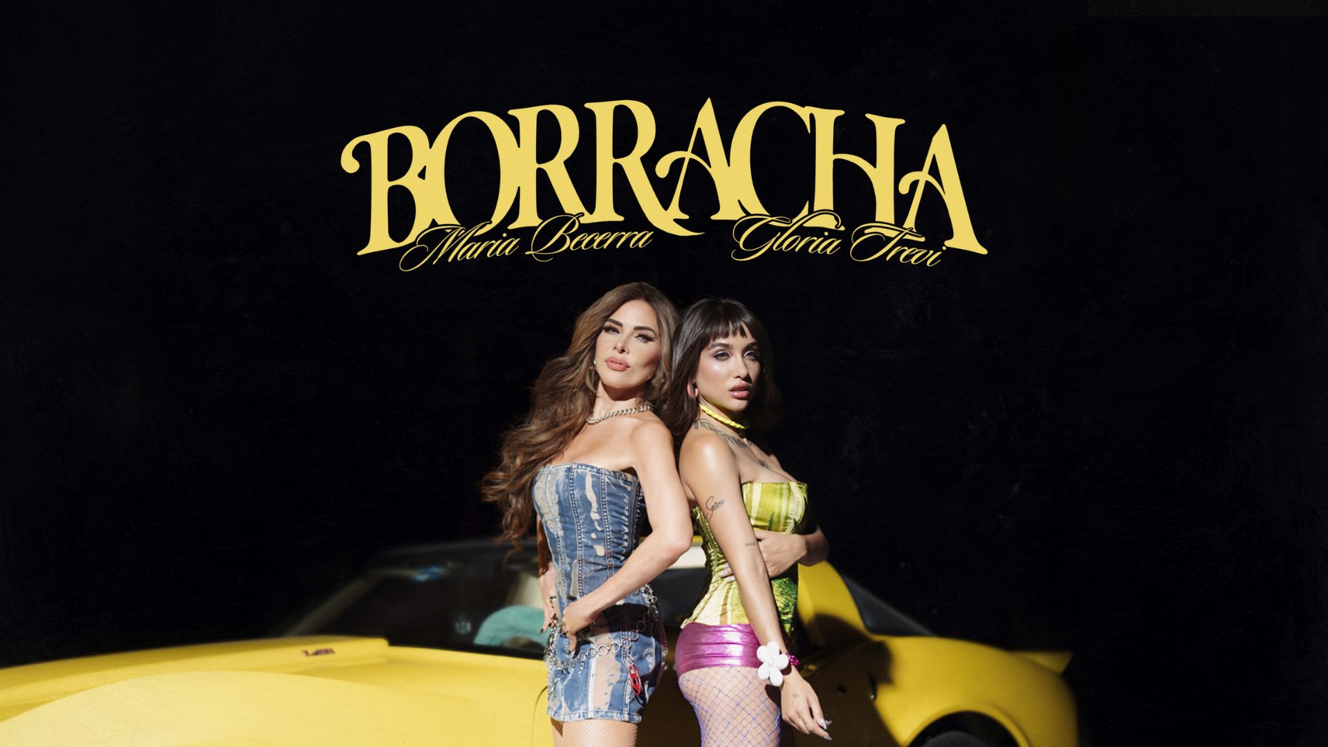 banner borracha web
